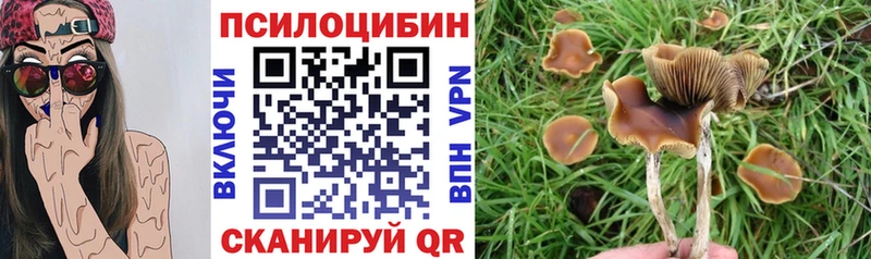 Псилоцибиновые грибы мицелий  ссылка на мегу зеркало  Бирюч 
