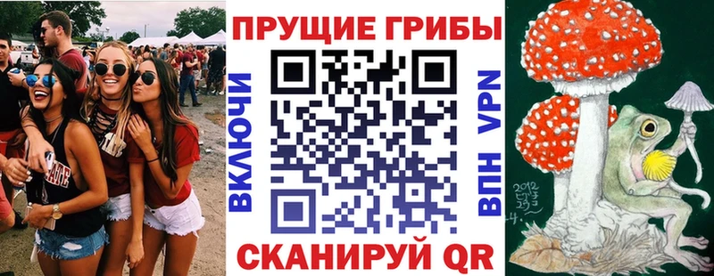 Псилоцибиновые грибы GOLDEN TEACHER Бирюч